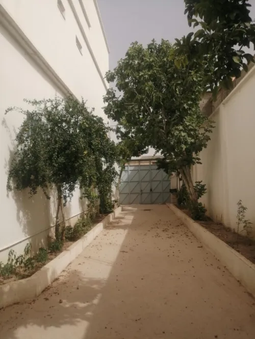 Location bien immobilier Mila Chelghoum laid