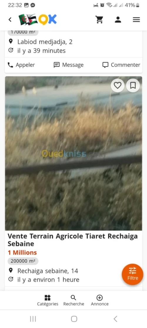 Vente Terrain Agricole Tiaret Rechaiga sebaine