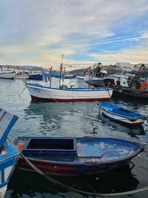 Bateau de Pêche Sardinier 11,5 mètres