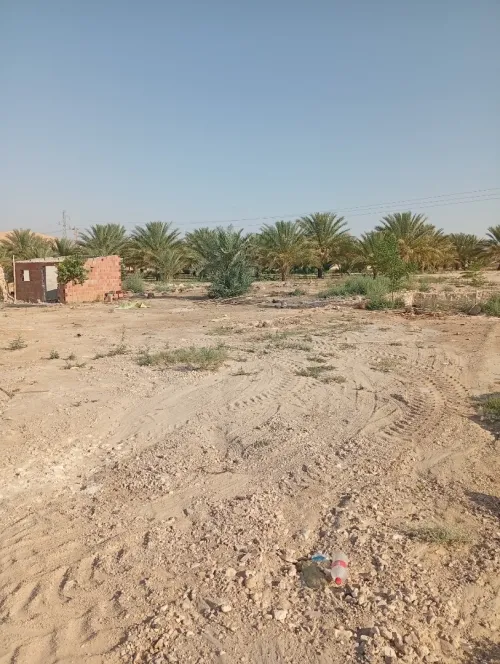Vente Terrain Biskra Tolga
