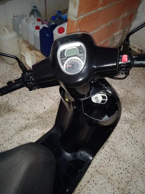 Vms panaria Benelli 2022