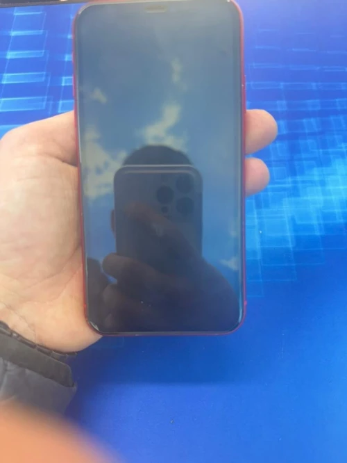 Iphon Iphon11