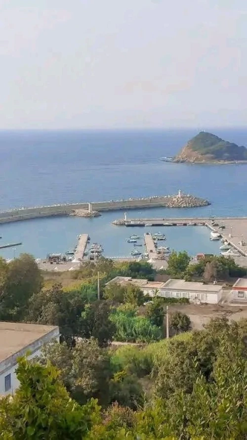 Vente Terrain Jijel El aouana