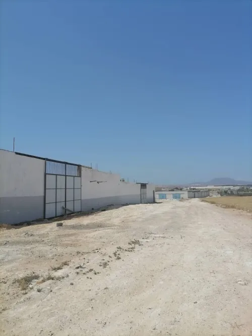 Vente Terrain Oran Sidi chami