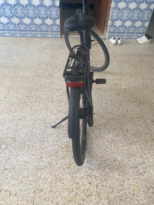 Velo electric 