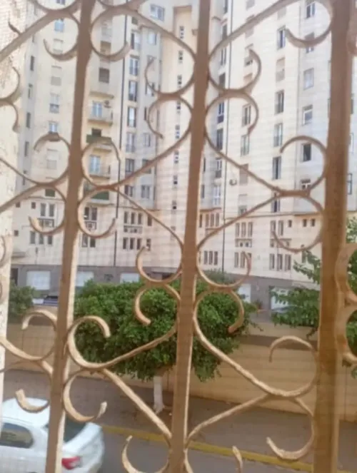 Vente Appartement Oran Bir el djir
