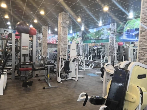 Salle de musculation