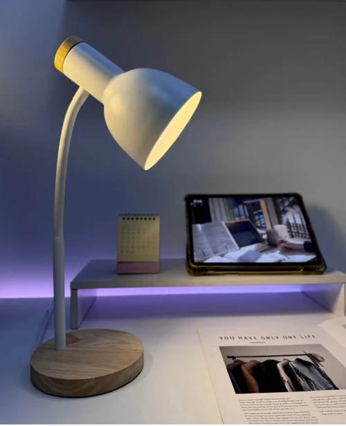 LAMPE DE BUREAU FLEXIBLE