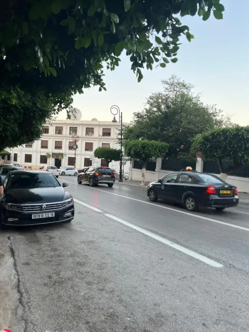 Location Local Alger Alger centre