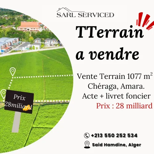 Vente Terrain Alger Cheraga