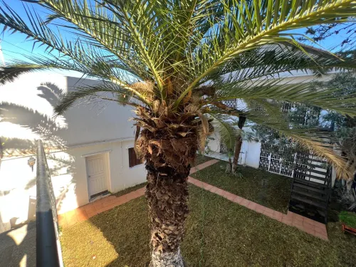 Vente Appartement F7 Alger El biar