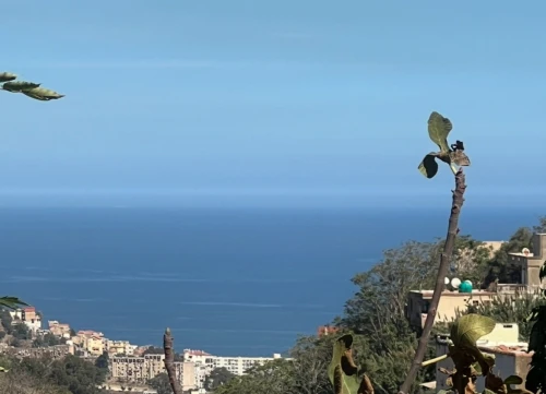Vente Appartement F7 Alger El biar