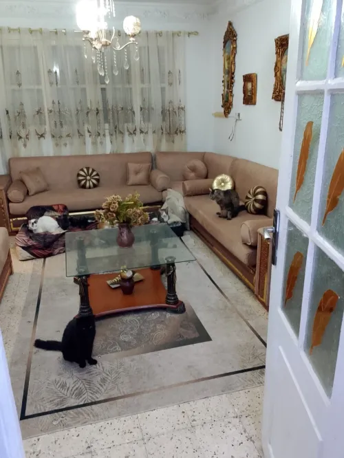 Vente Appartement F3 Alger Ain naadja