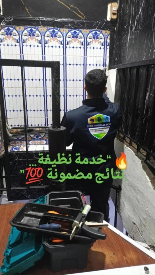 Service Anti cafards punaise de lit deratisation