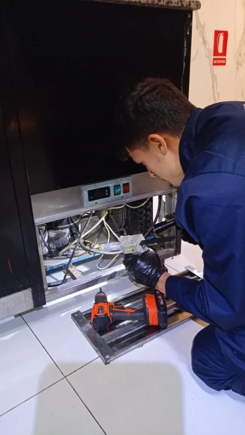 Service désinsectisation Anti cafards