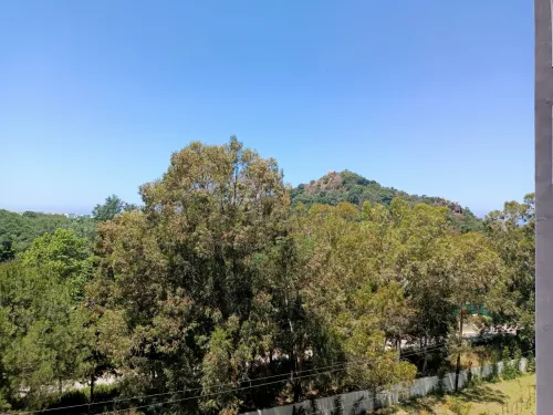 Vente Appartement F3 Jijel El aouana
