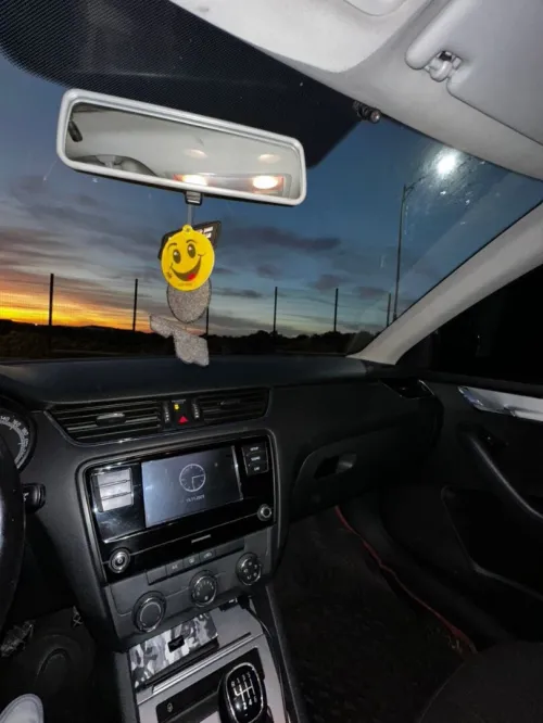 Skoda Octavia 2018 Ambition