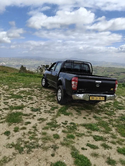 Great Wall Double cabine 2008 Pick-up