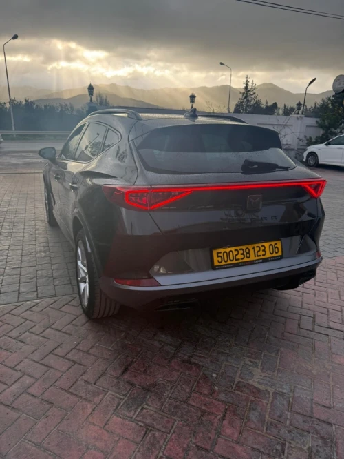Seat Cupra  2023 Formentor