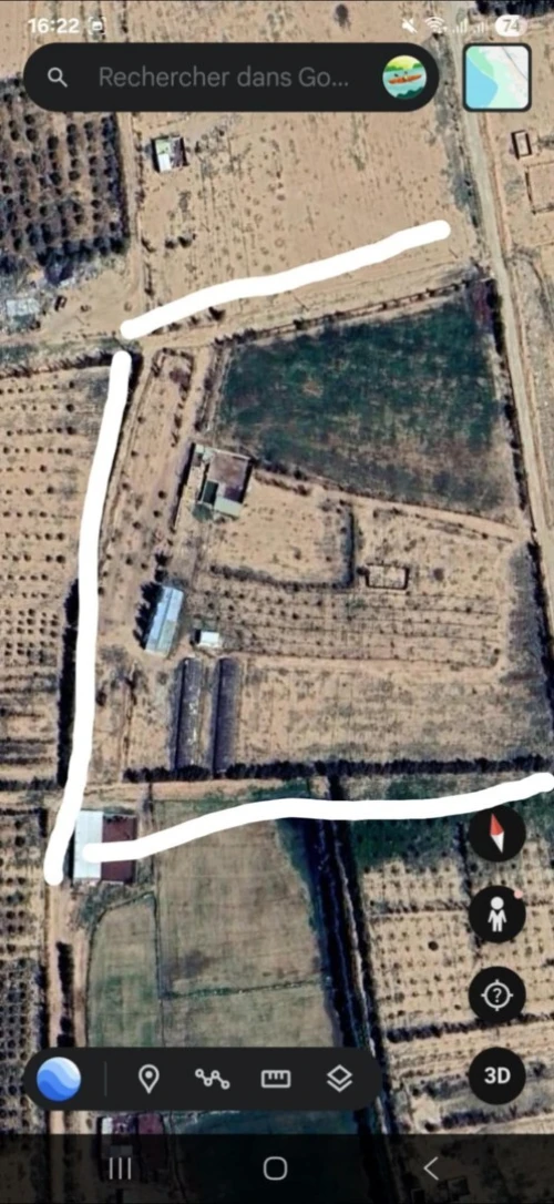 Vente Terrain Agricole Naâma Mecheria