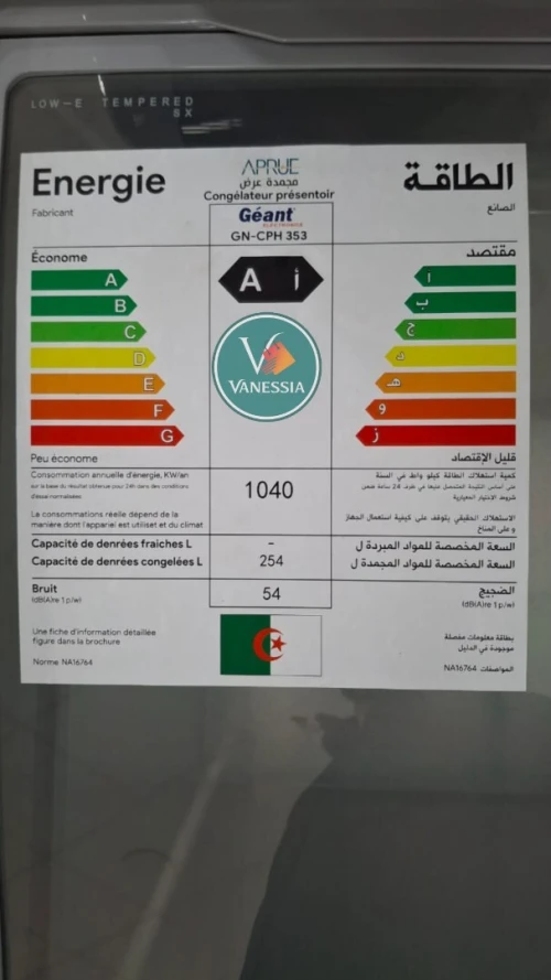 Congélateur Présentoir Géant 254L