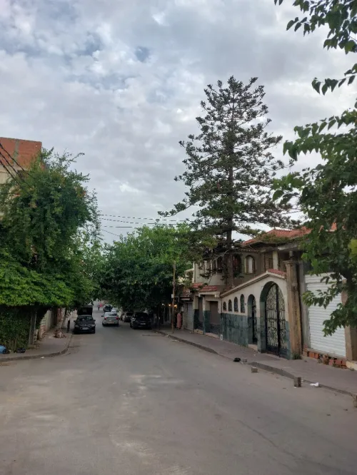 Vente Villa Alger Mohammadia
