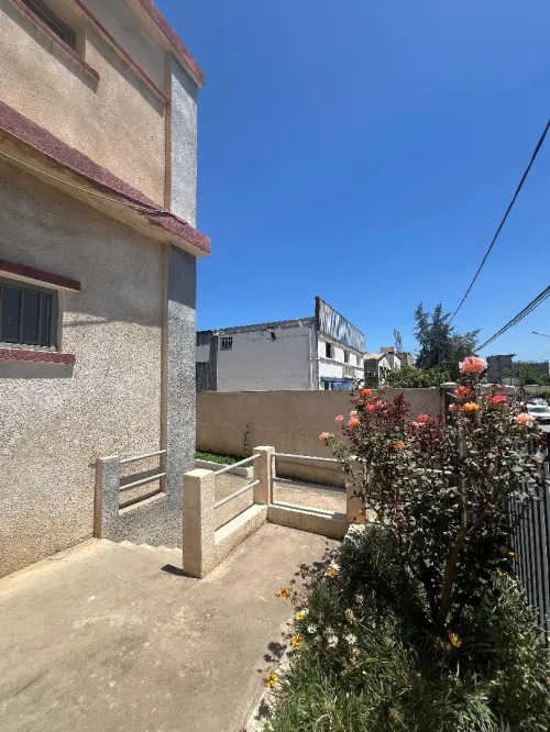 Vente Hangar Alger Reghaia