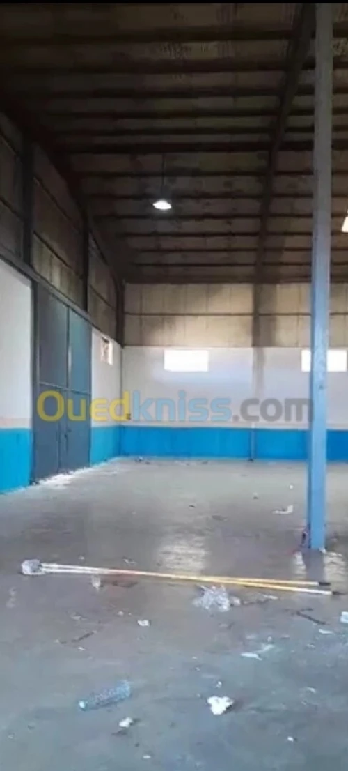 Location Hangar - Usine Alger Rouiba