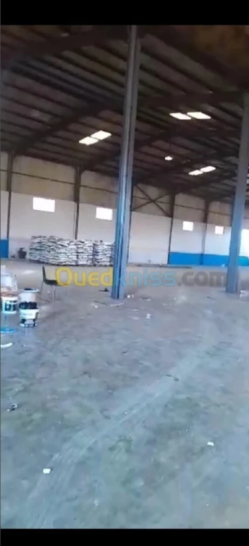 Location Hangar - Usine Alger Rouiba