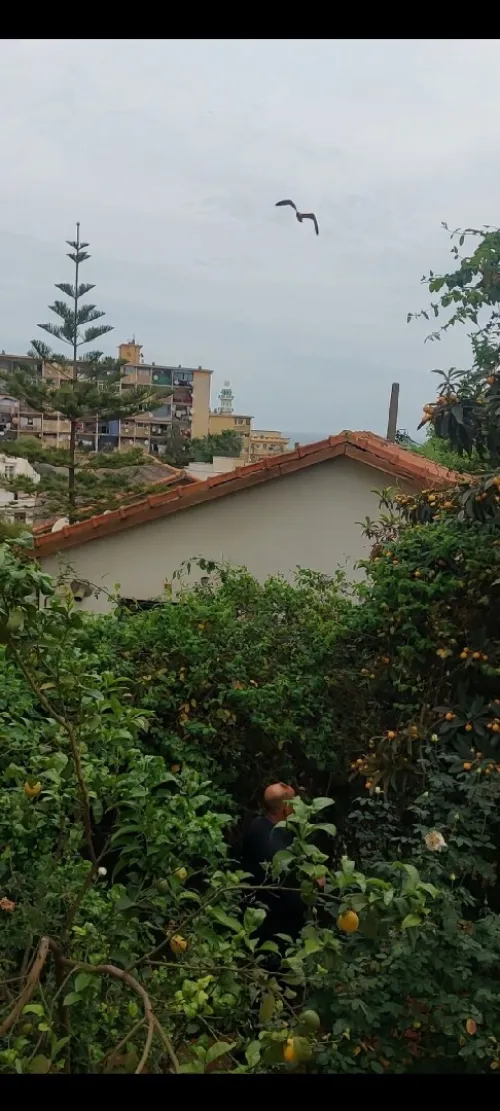 Vente Villa Alger Bab ezzouar
