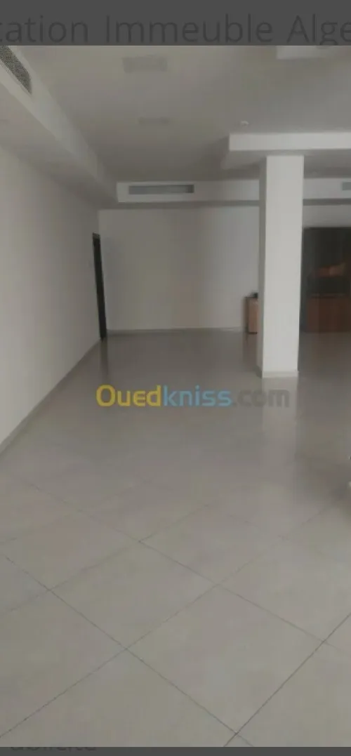 Location Immeuble Alger Bordj el kiffan