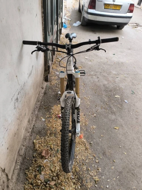 Enduro Thömus carbon 