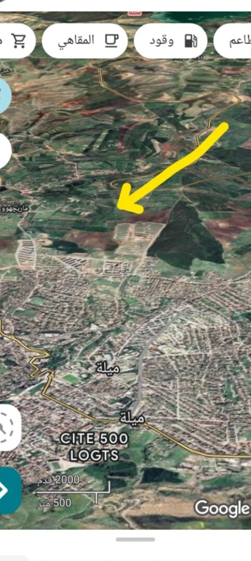 Vente Terrain Mila Mila
