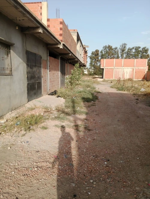 Vente Terrain Blida Ouled el alleug