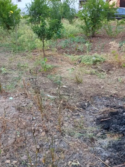 Vente Terrain Tizi Ouzou Tizi ouzou