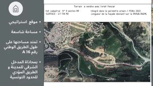 Vente Terrain Souk Ahras Souk ahras