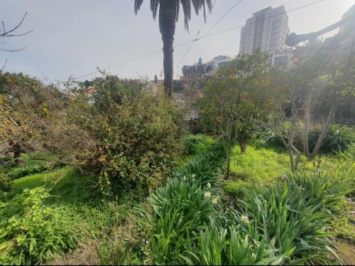 Vente Terrain Alger El mouradia