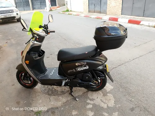 Vms Coxi 2024