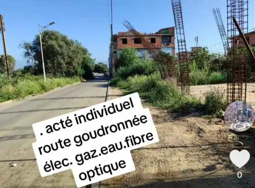 Vente Terrain Alger Douera