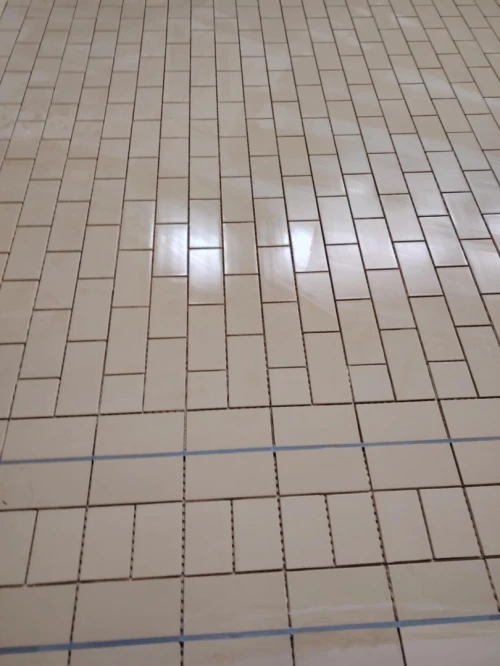 Travaux gcv en TCE