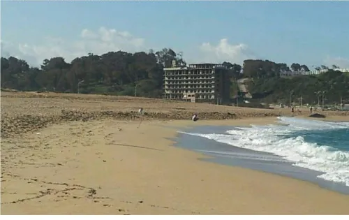 Vente Immeuble Alger Reghaia