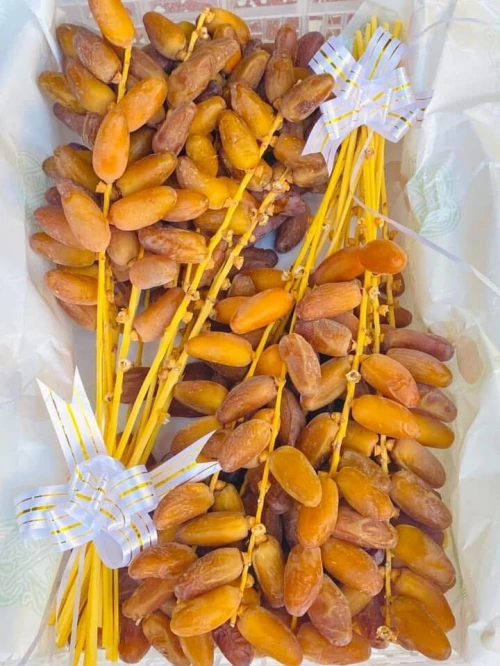 Datte deglet Nour تمورطولقة