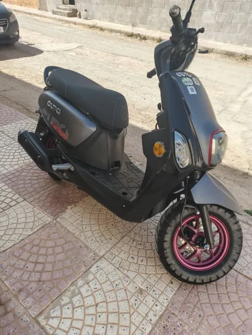 Cuxi Cuxi2 2025
