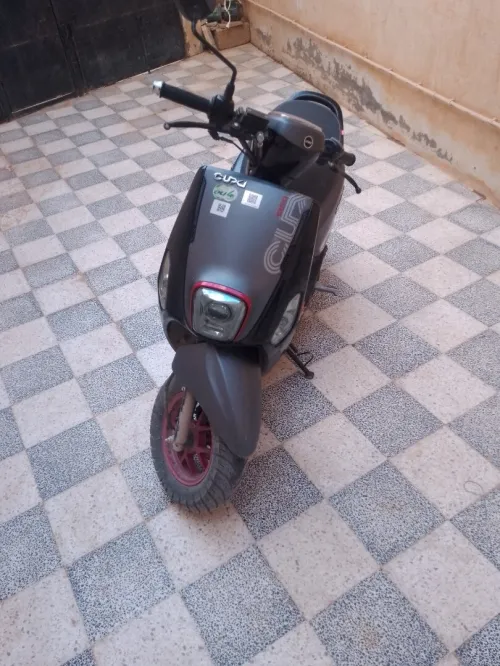 Cuxi Cuxi2 2025