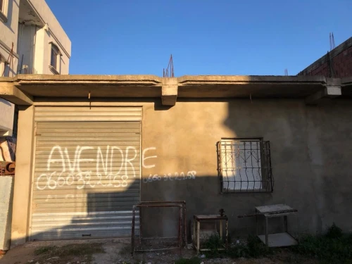 Vente Villa El Tarf Ain el assel