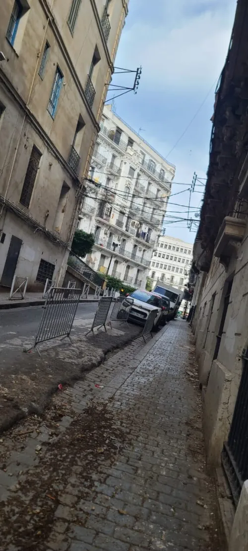 Location Local Alger Alger centre