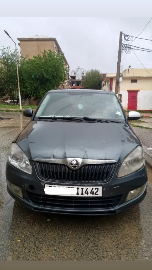Skoda Fabia 2014 Fresh