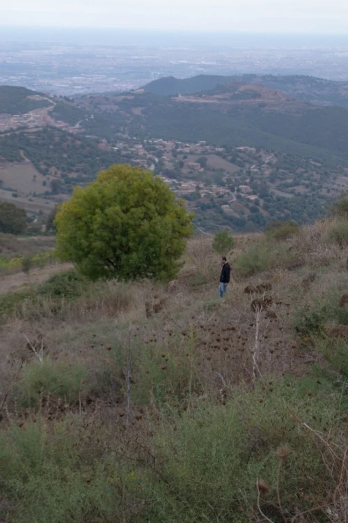Vente Terrain Blida Djebara