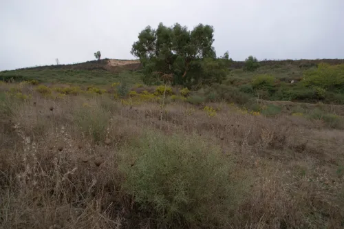 Vente Terrain Blida Djebara