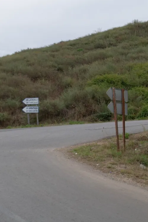 Vente Terrain Blida Meftah